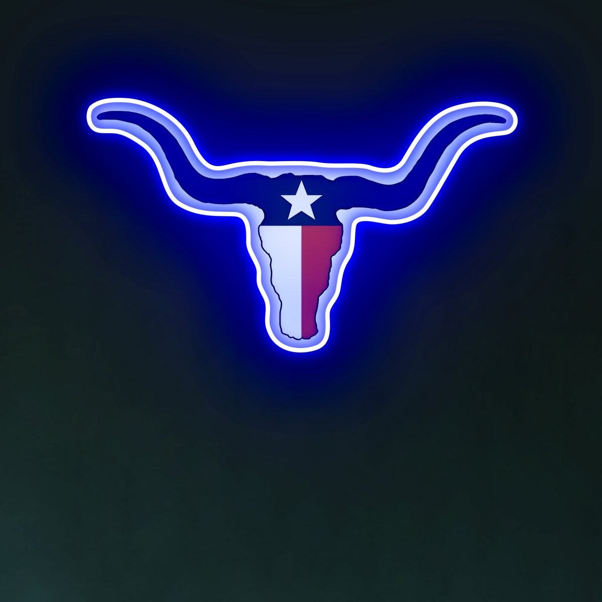 Texas LED USB Neon Signs Iconic Texas Wall Decor for Garages Man Cave
