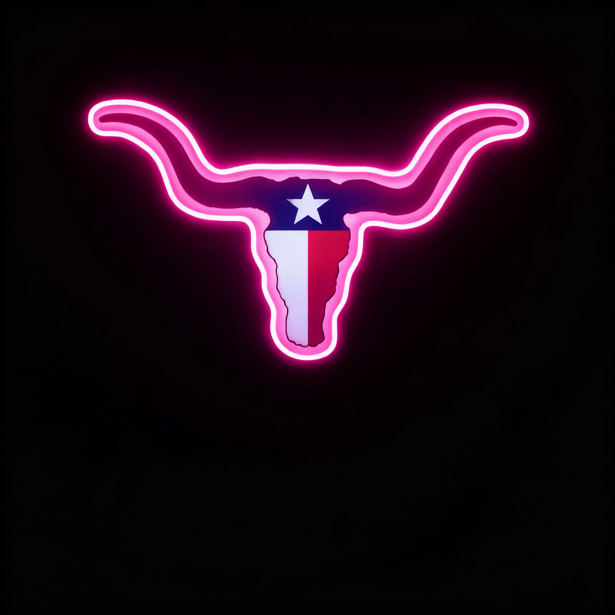 Texas LED USB Neon Signs Iconic Texas Wall Decor for Garages Man Cave