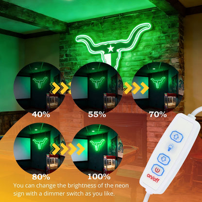 Texas LED USB Neon Signs Iconic Texas Wall Decor for Garages Man Cave