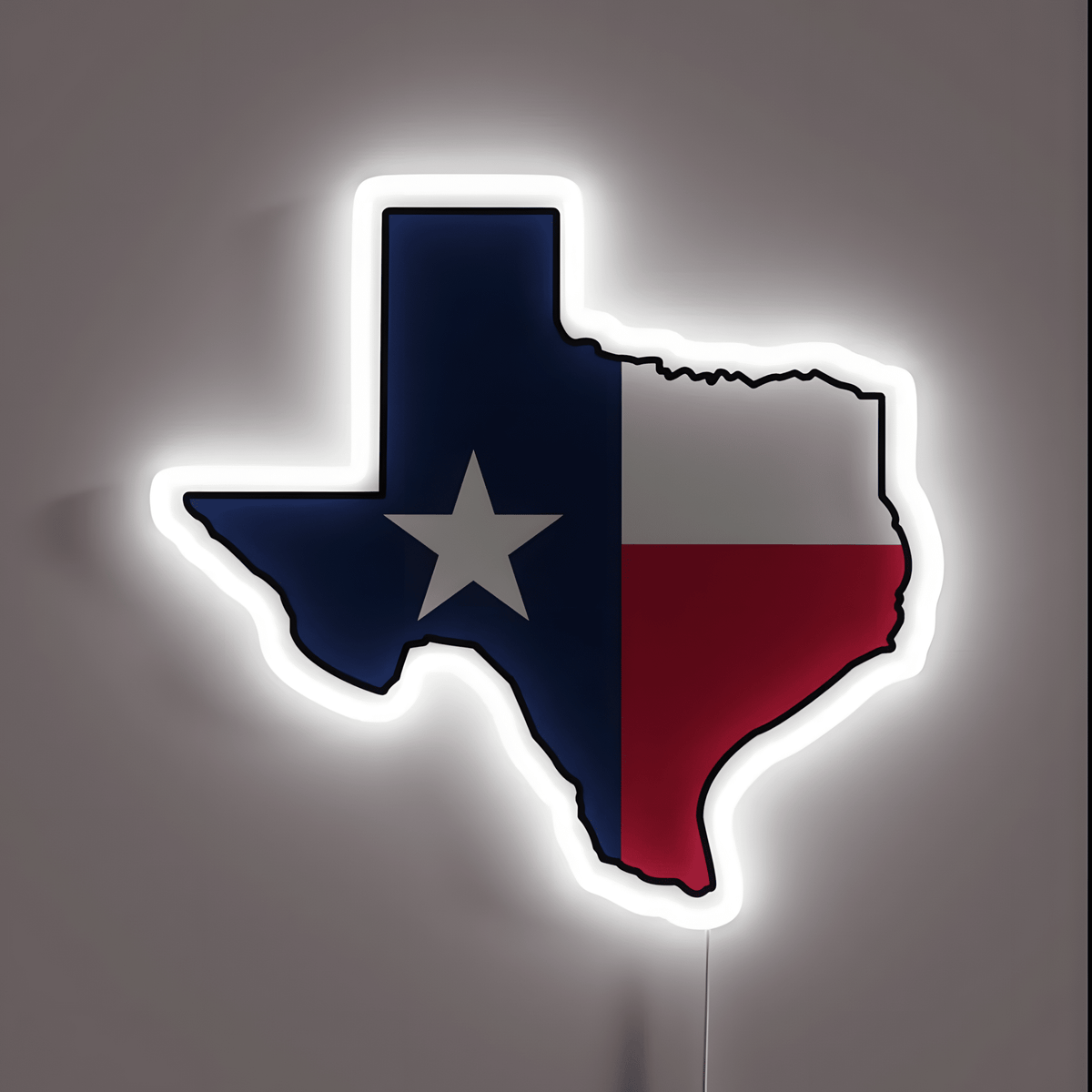 Texas LED USB Neon Signs Iconic Texas Wall Decor for Garages Man Cave