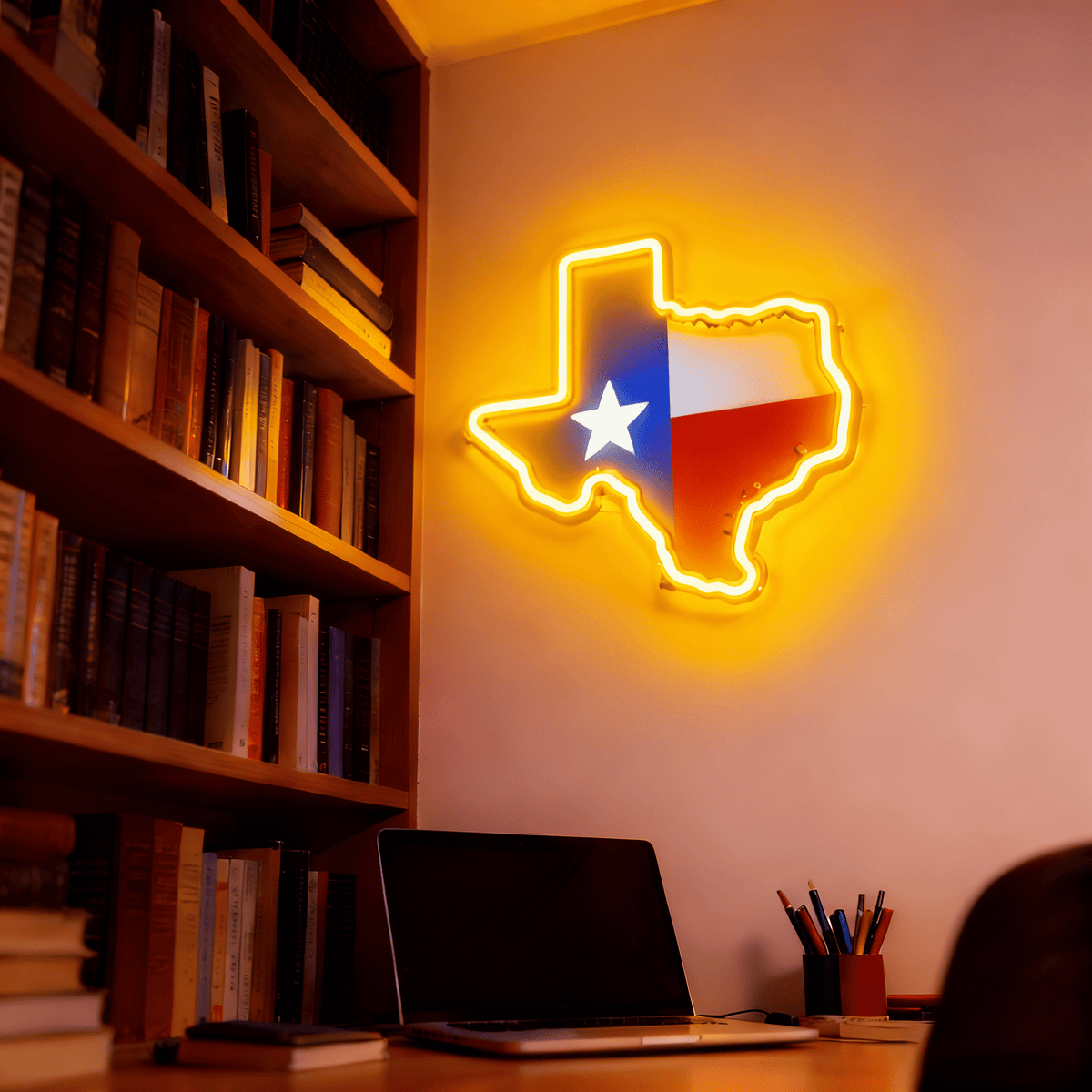 Texas LED USB Neon Signs Iconic Texas Wall Decor for Garages Man Cave
