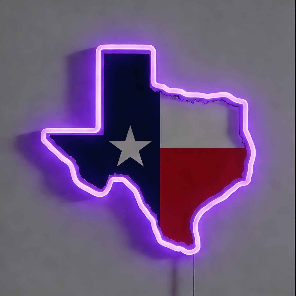 Texas LED USB Neon Signs Iconic Texas Wall Decor for Garages Man Cave