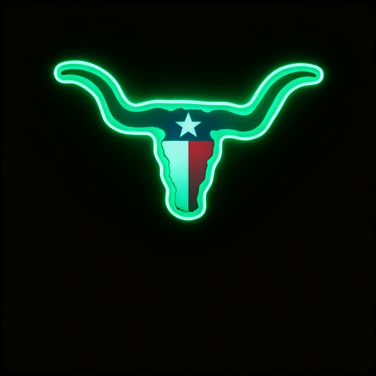 Texas LED USB Neon Signs Iconic Texas Wall Decor for Garages Man Cave