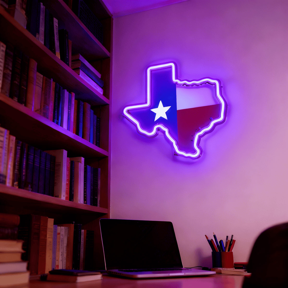 Texas LED USB Neon Signs Iconic Texas Wall Decor for Garages Man Cave