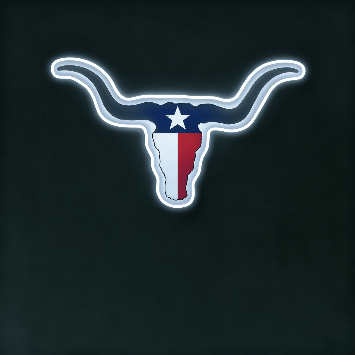 Texas LED USB Neon Signs Iconic Texas Wall Decor for Garages Man Cave